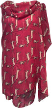 Load image into Gallery viewer, Pamper Yourself Now Bright Pink with Leaping Hare Design Scarf/wrap