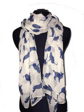 Load image into Gallery viewer, Creamy White with Navy Cats Scarf for women