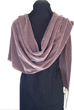 Load image into Gallery viewer, Brown Velvet Devore Silver Sparkle Scarf/wrap with Tassels Lovely Long Scarf Fantastic Gift