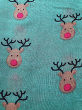 Load image into Gallery viewer, Green red Nose Rudolph Reindeer Christmas Long Scarf