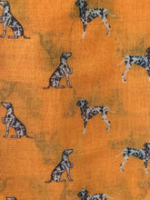 Load image into Gallery viewer, Orange