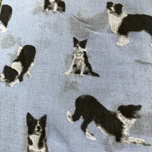 Load image into Gallery viewer, Blue Border Collie Dog Long Scarf with Frayed Edge