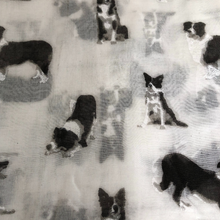 Load image into Gallery viewer, white