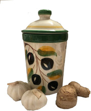 Load image into Gallery viewer, Light Green Olive Design Garlic Keeper Pot (2)
